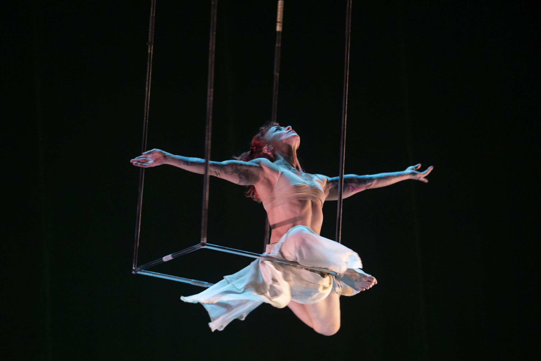 Trapezi