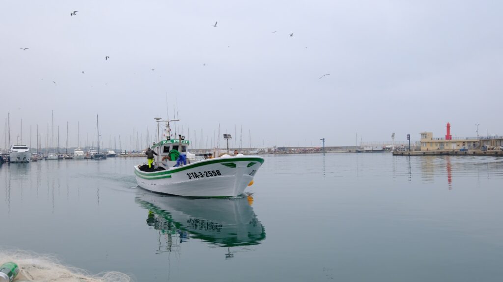 pesca port cambrils