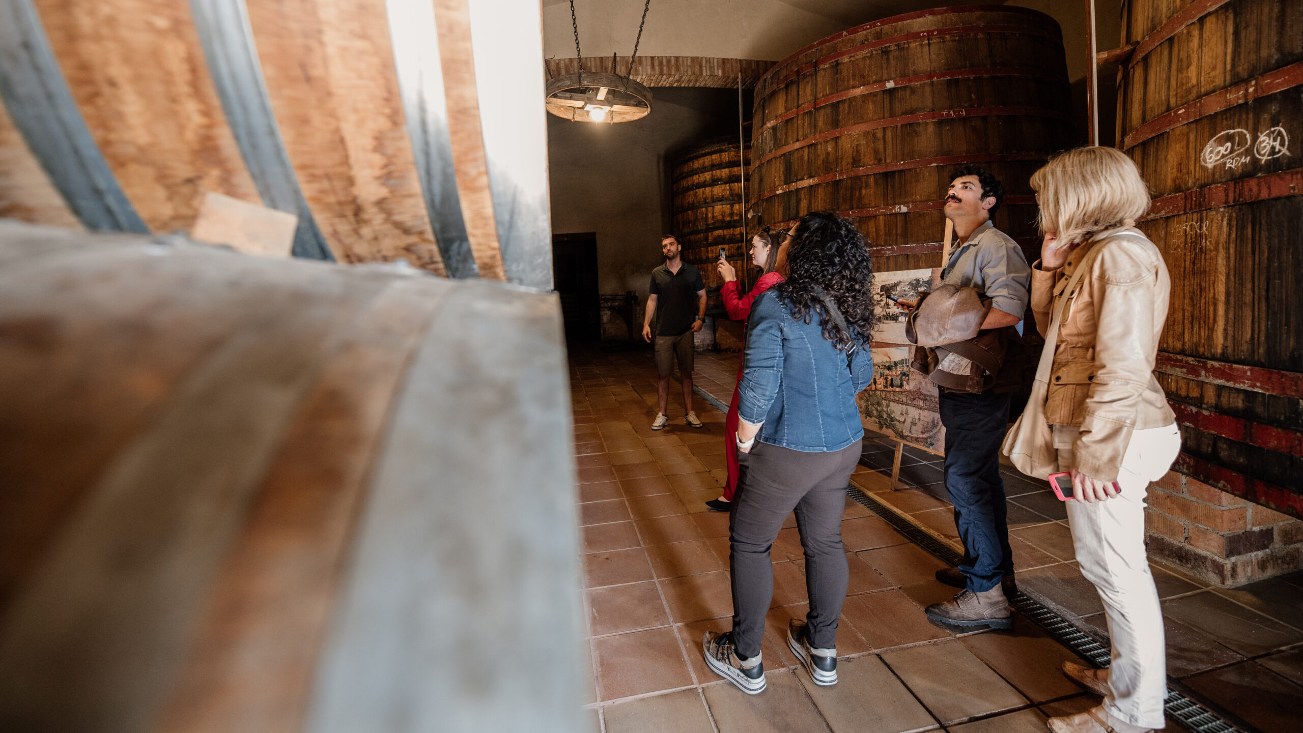 Iter Vitis