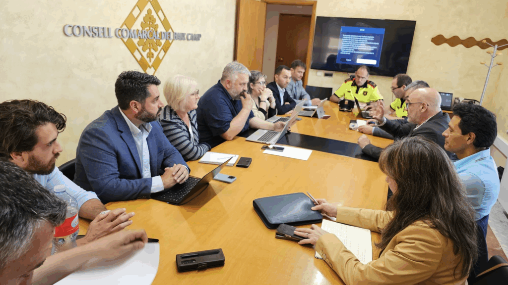 Consell Comarcal