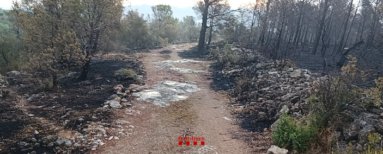 Incendi Baix Ebre