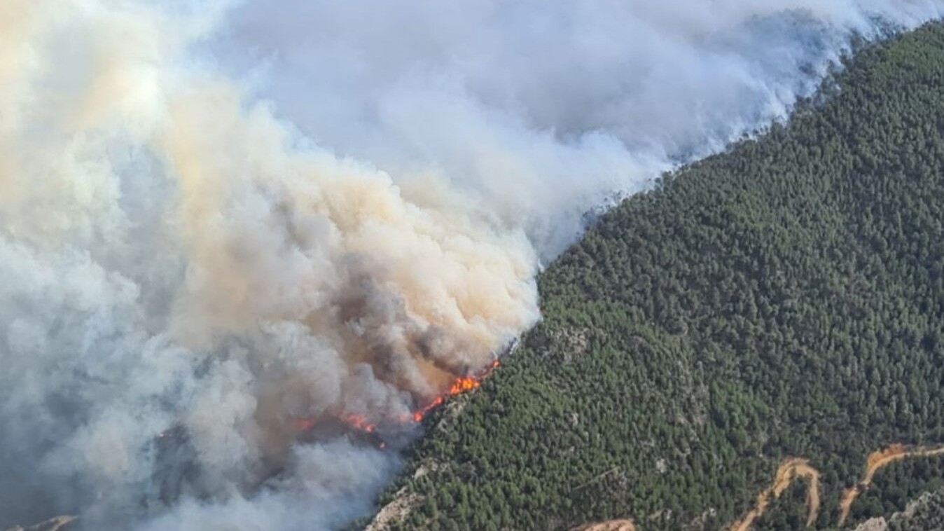 Foc de Cabacés 2024