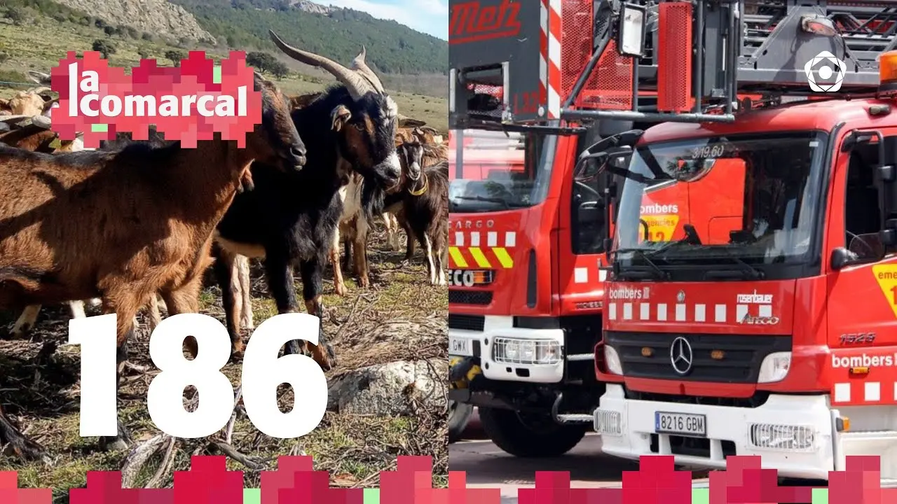 La Comarcal A La Carta