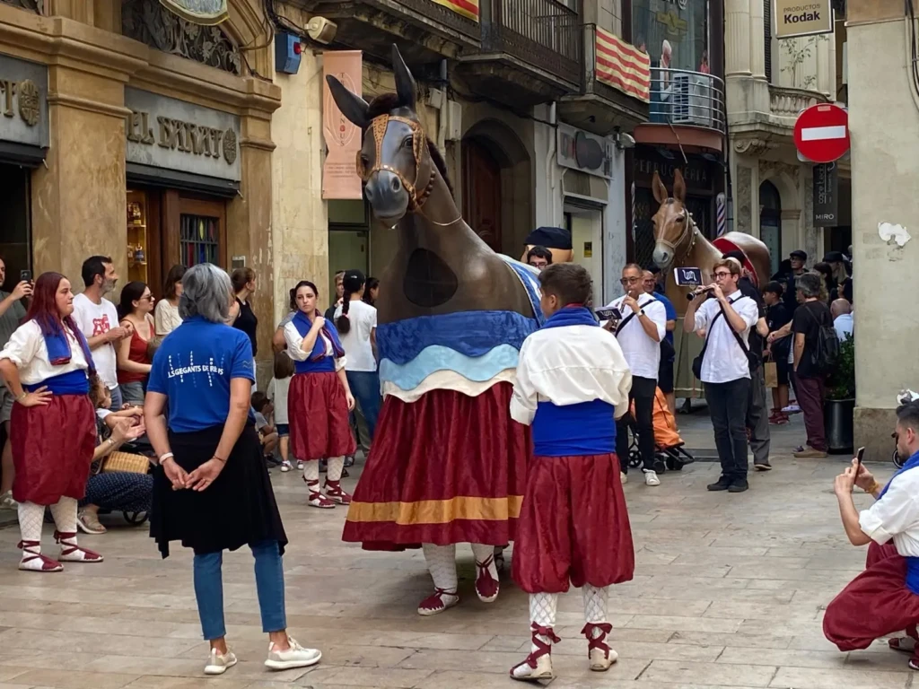 trobada de mules i cavalls per Misericòrdia'25
