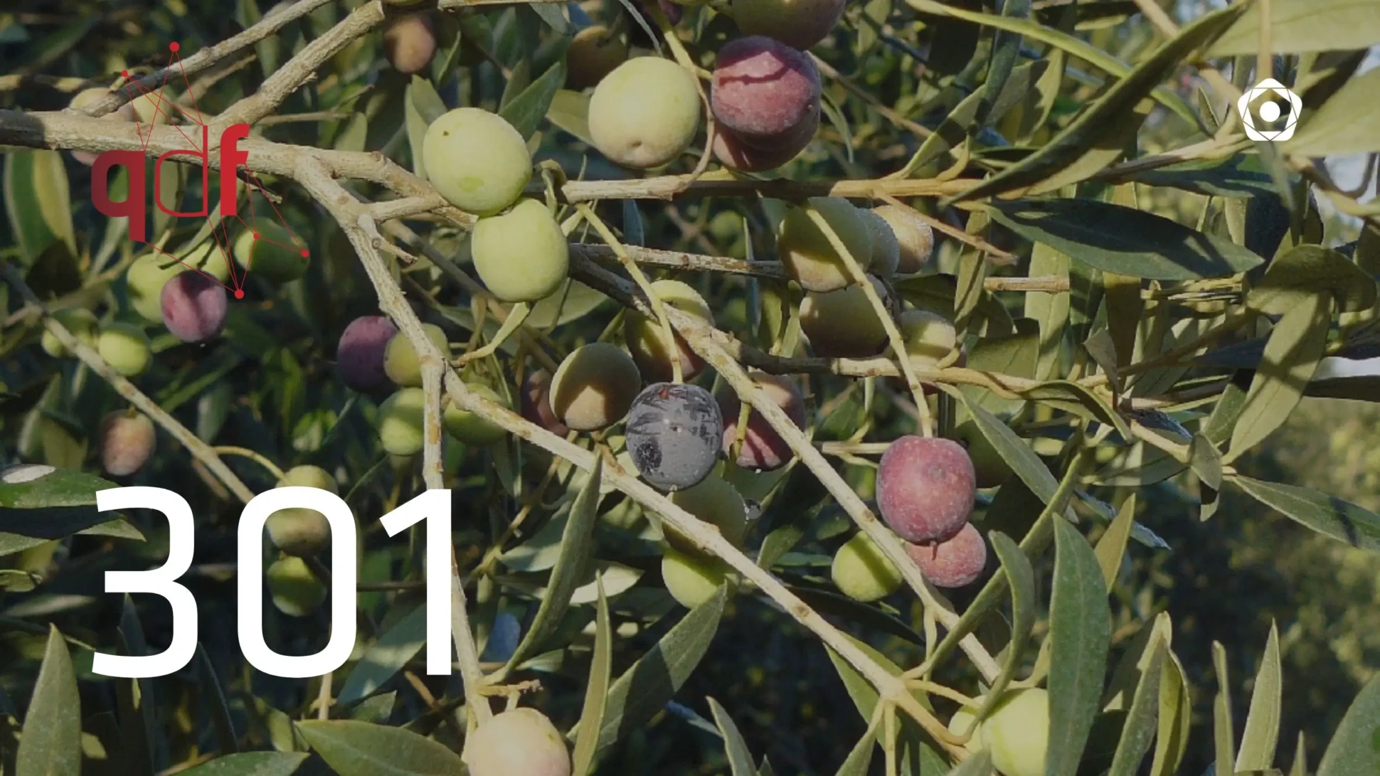 QDF Portada A la carta