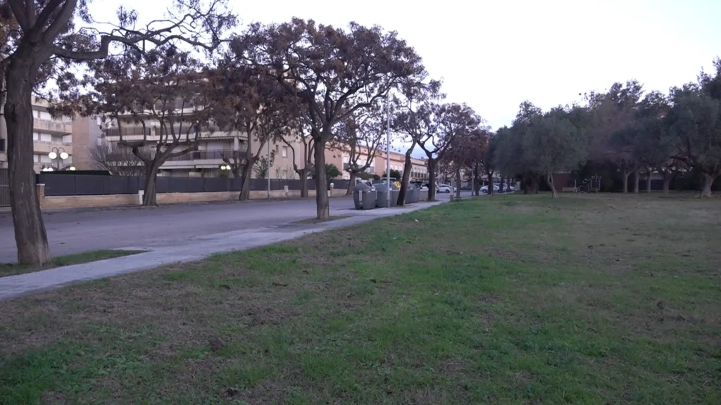 solar del carrer Anoia de Cambrils