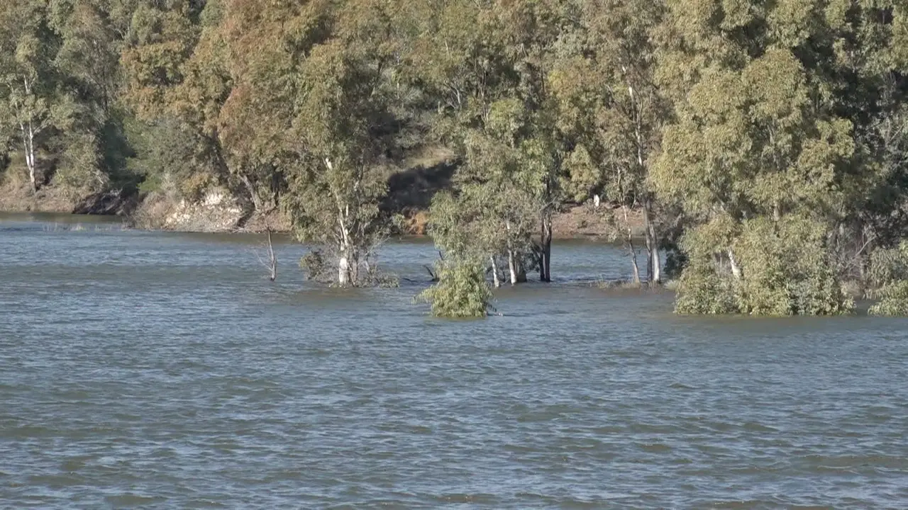 Pantà de Riudecanyes