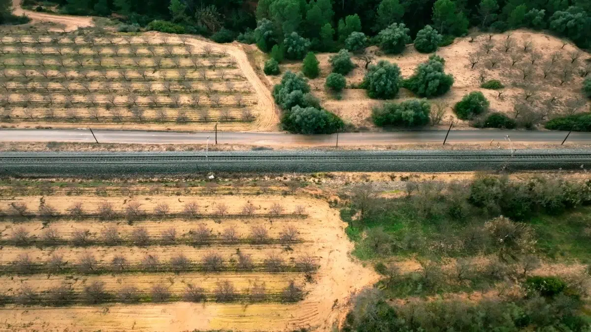 MORA LA.mov.00_00_03_30.Still001 (1)