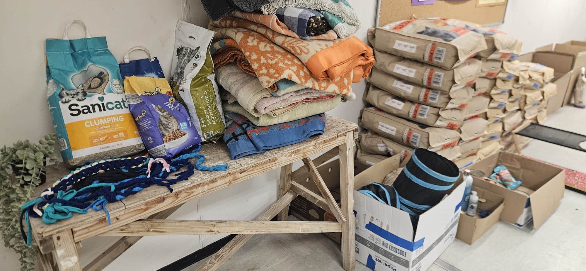 recollida de material per a mascotes