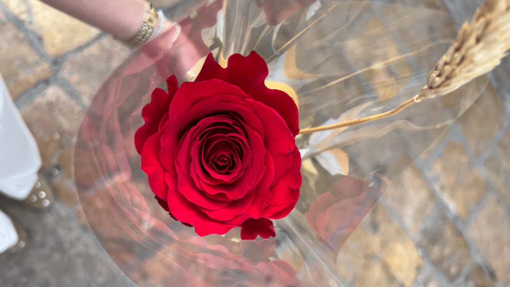 Sant Jordi
