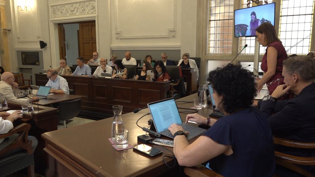 Ple sobre l'estat de la ciutat