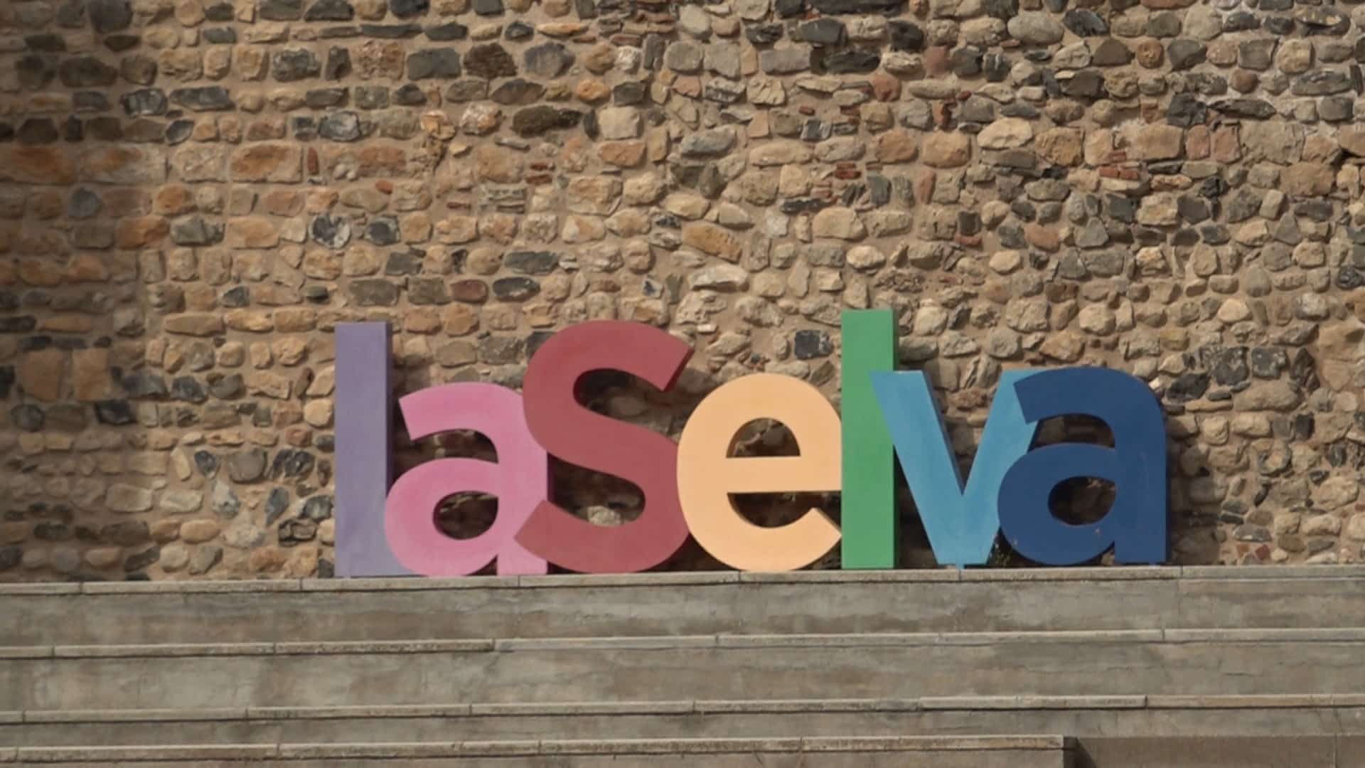 La selva del camp pirolisi valorgreene