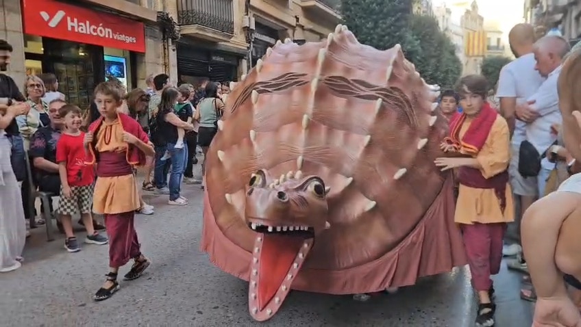 Sewguici Festiu Petit