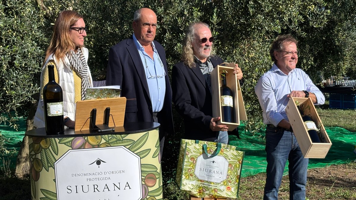 Presentació de la collita de la DOP Siurana enmig d’un camp d’oliveres