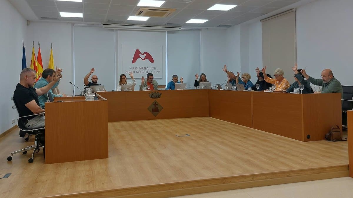 Els regidors de Mont-roig del Camp voten durant el ple extraordinari